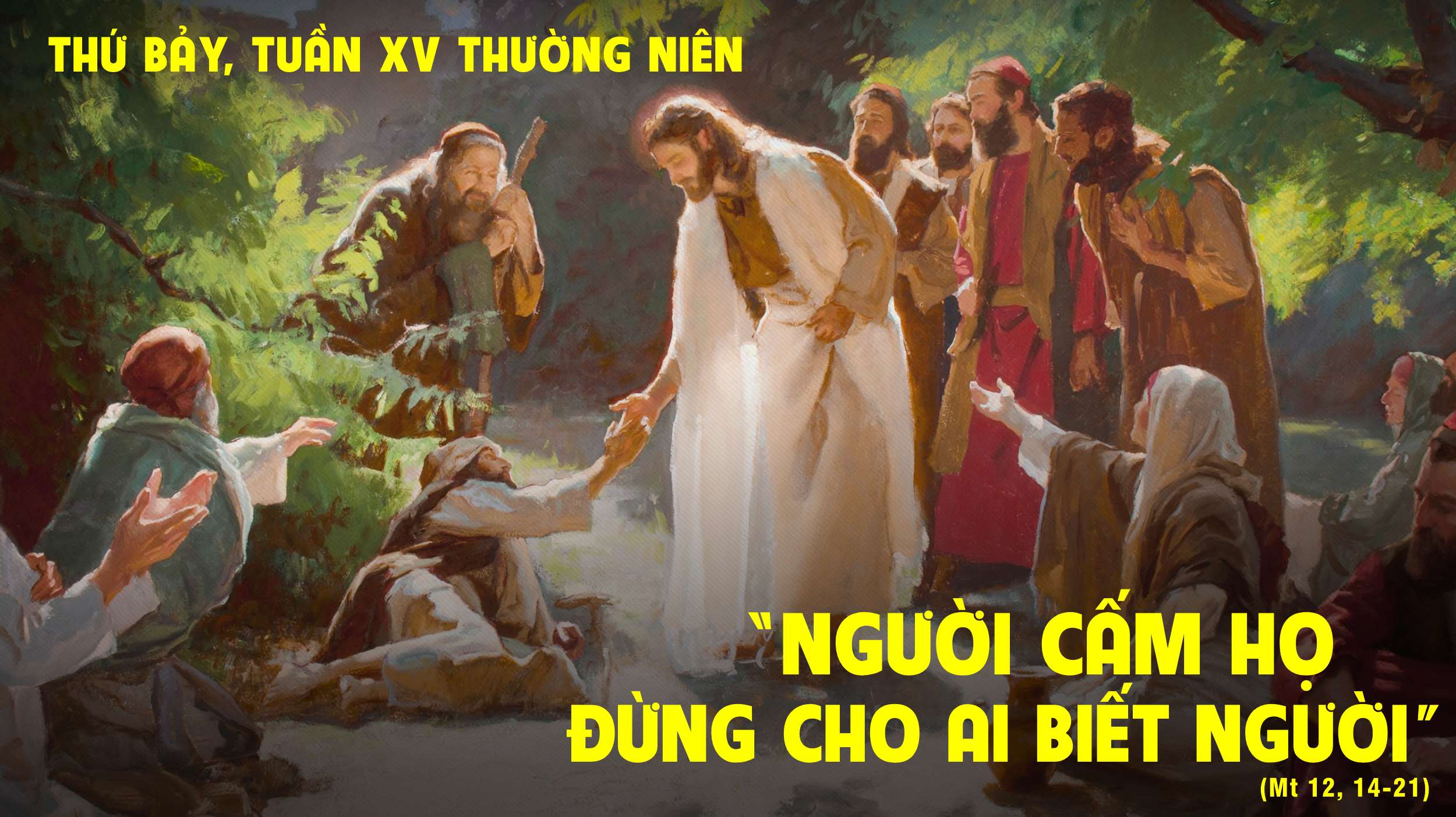 Thứ Bảy Tuần XV Mùa Thường Niên - Năm C